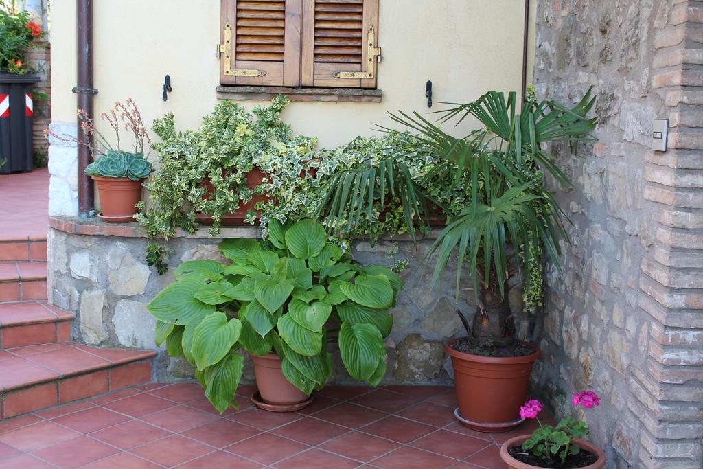 Borgo San Savino Guest House San Savino  ภายนอก รูปภาพ